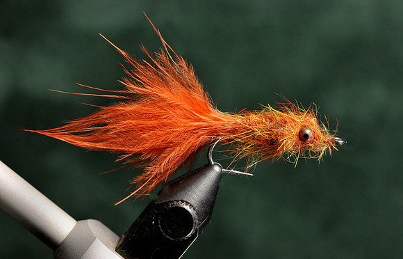 DDH Leech